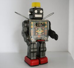 60HorikawaTBRFightingRobot